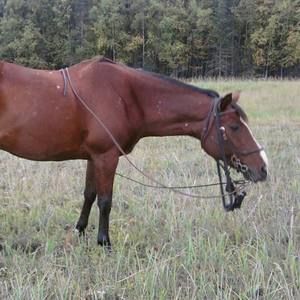 Meet your Posher, Tabitha